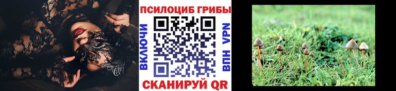 как найти закладки  Севск  Галлюциногенные грибы MAGIC MUSHROOMS 
